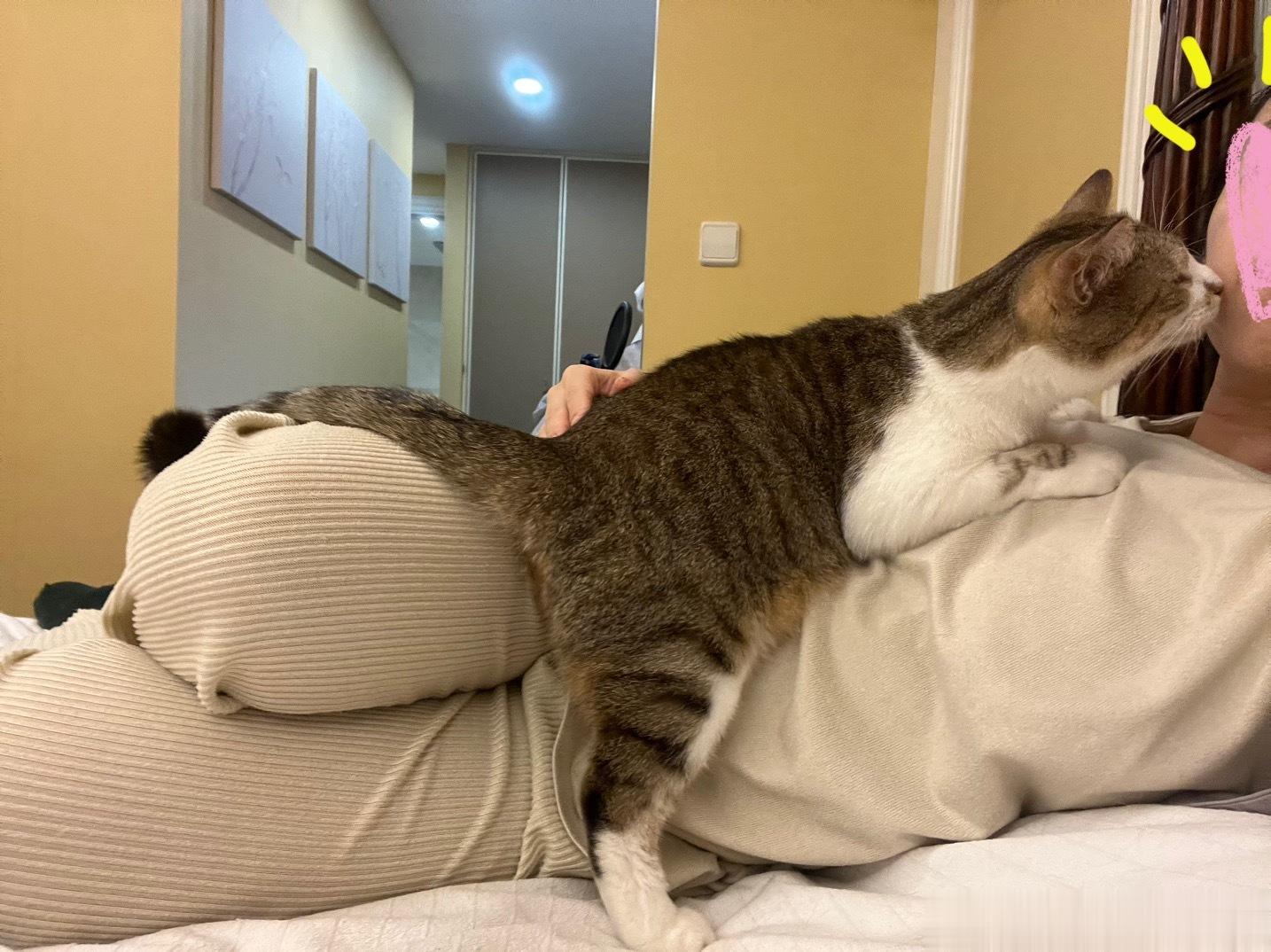 哎呦呦，谁怀里还没有只小猫咪呀[害羞] ​​​
