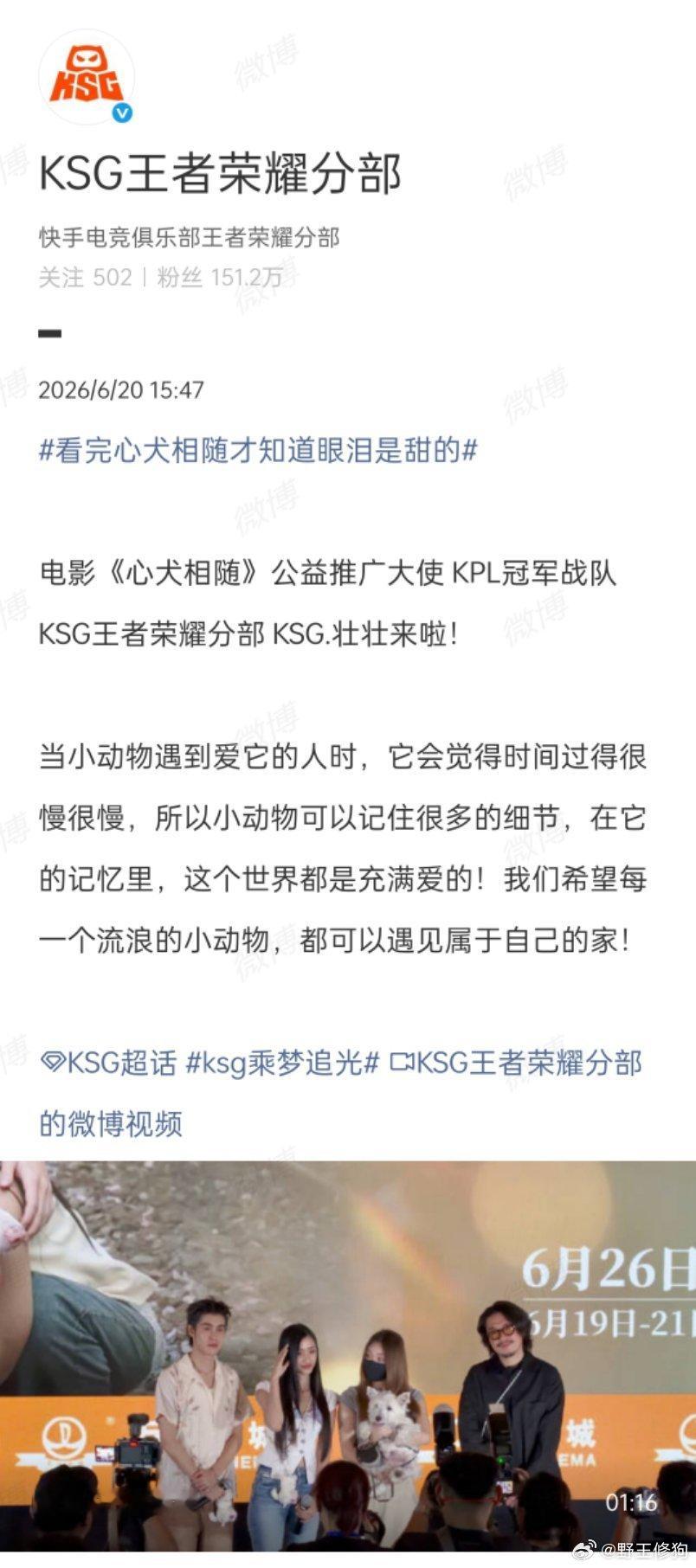 2026kpl夏季赛 【投稿】啊啊啊底下粉丝评论说狗来了KSG也得接商务kpl