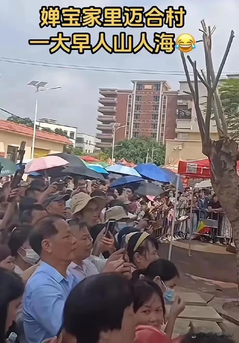 一则“封村了！晚上9点封村！”的消息在网络上引发了热议。全红婵的家乡迈合村，为了