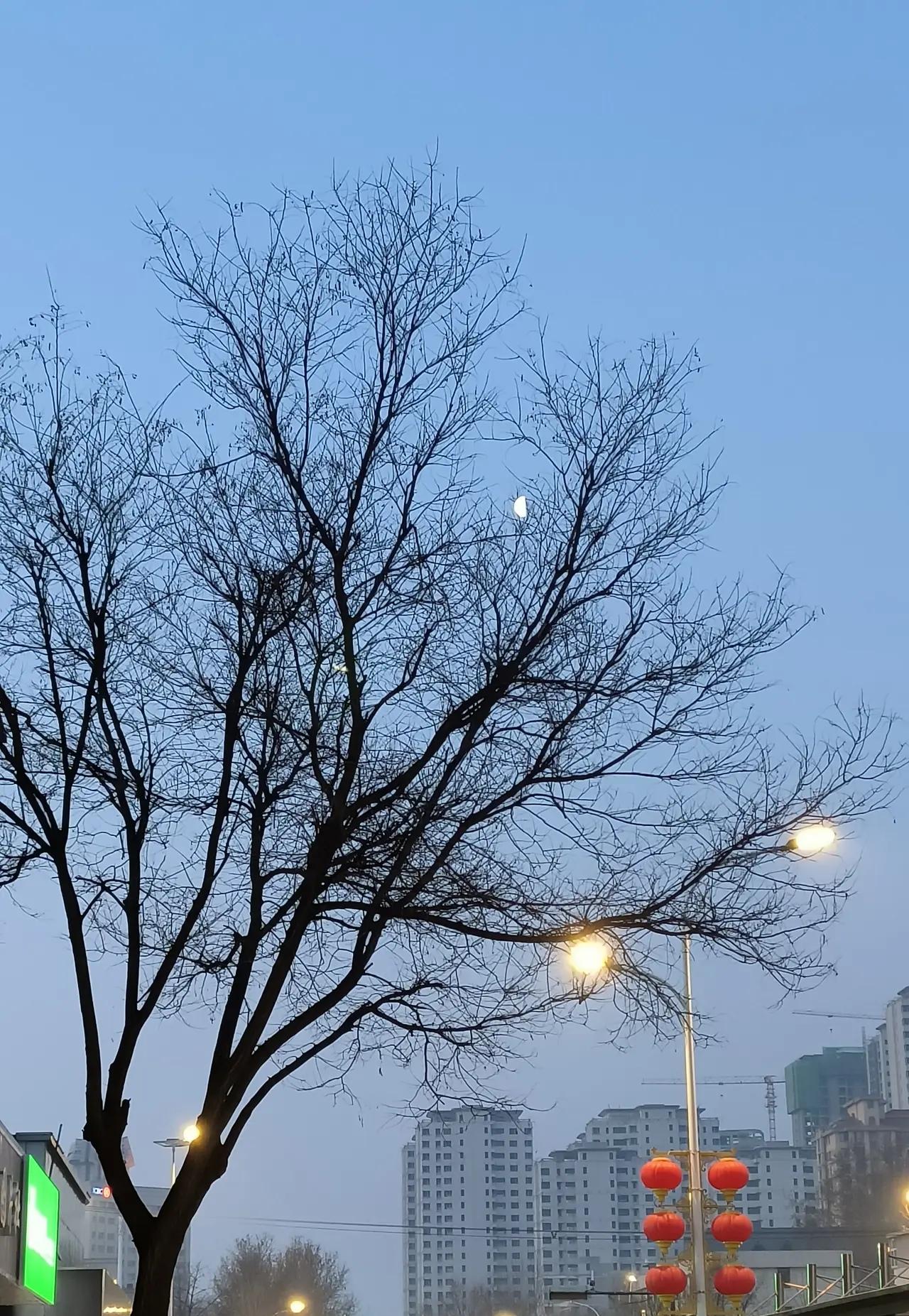 分享随手拍风景照