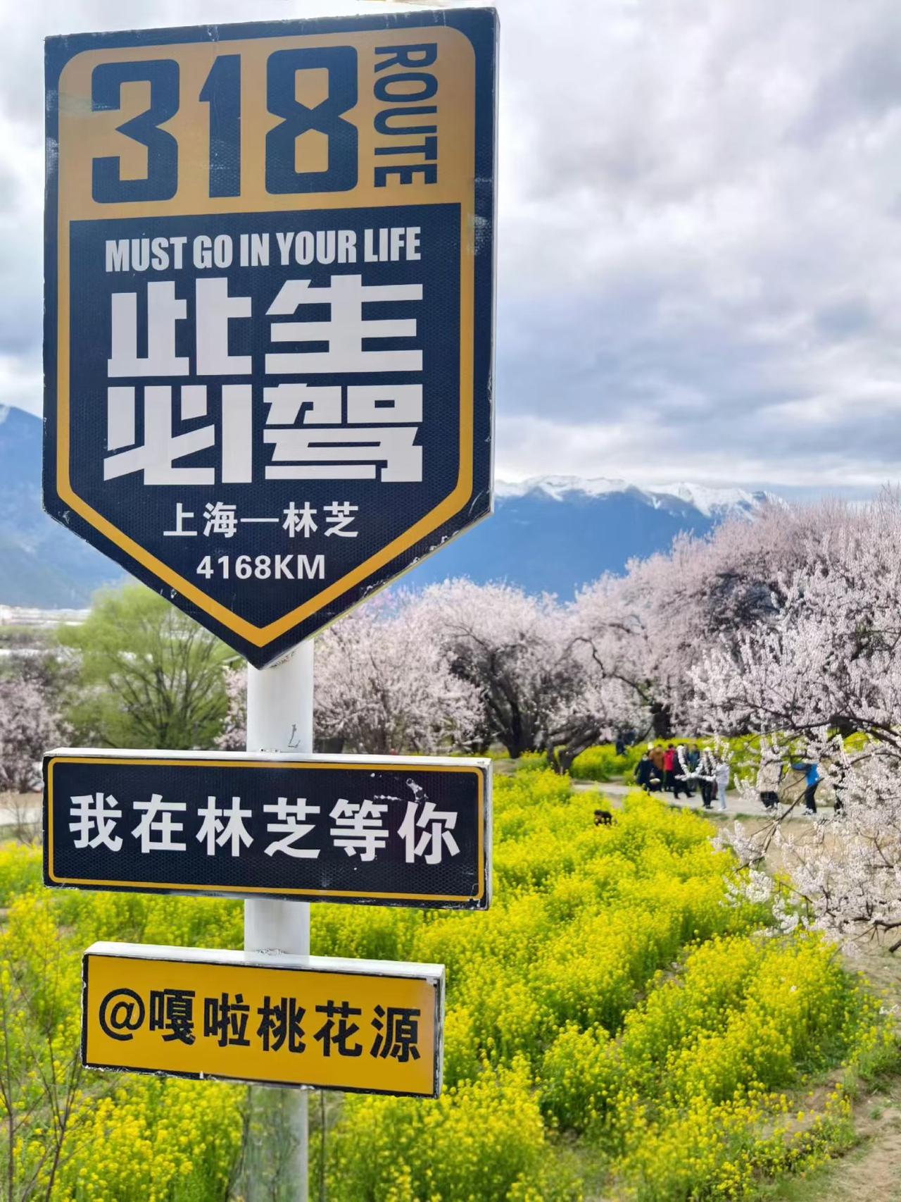 川藏线上也有世外桃源！西藏林芝塞外江南不是随便叫的，看看这美景，是不是改变了你对