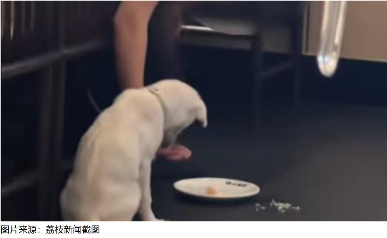 8 月 10 日，湖南长沙岳麓王府井小菜园新徽菜门店，有网友拍到店内一名顾客带着