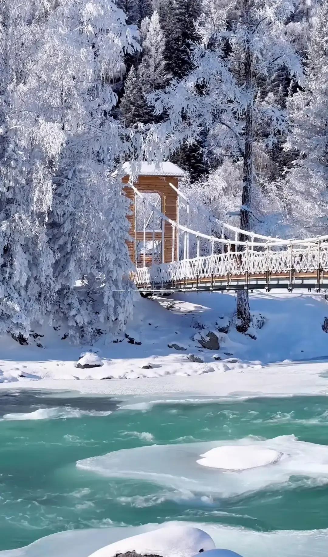 老爸一句你带你妈去新加坡转转，我脑子里立刻冒出他半夜咳到坐起来的画面。
机票还没