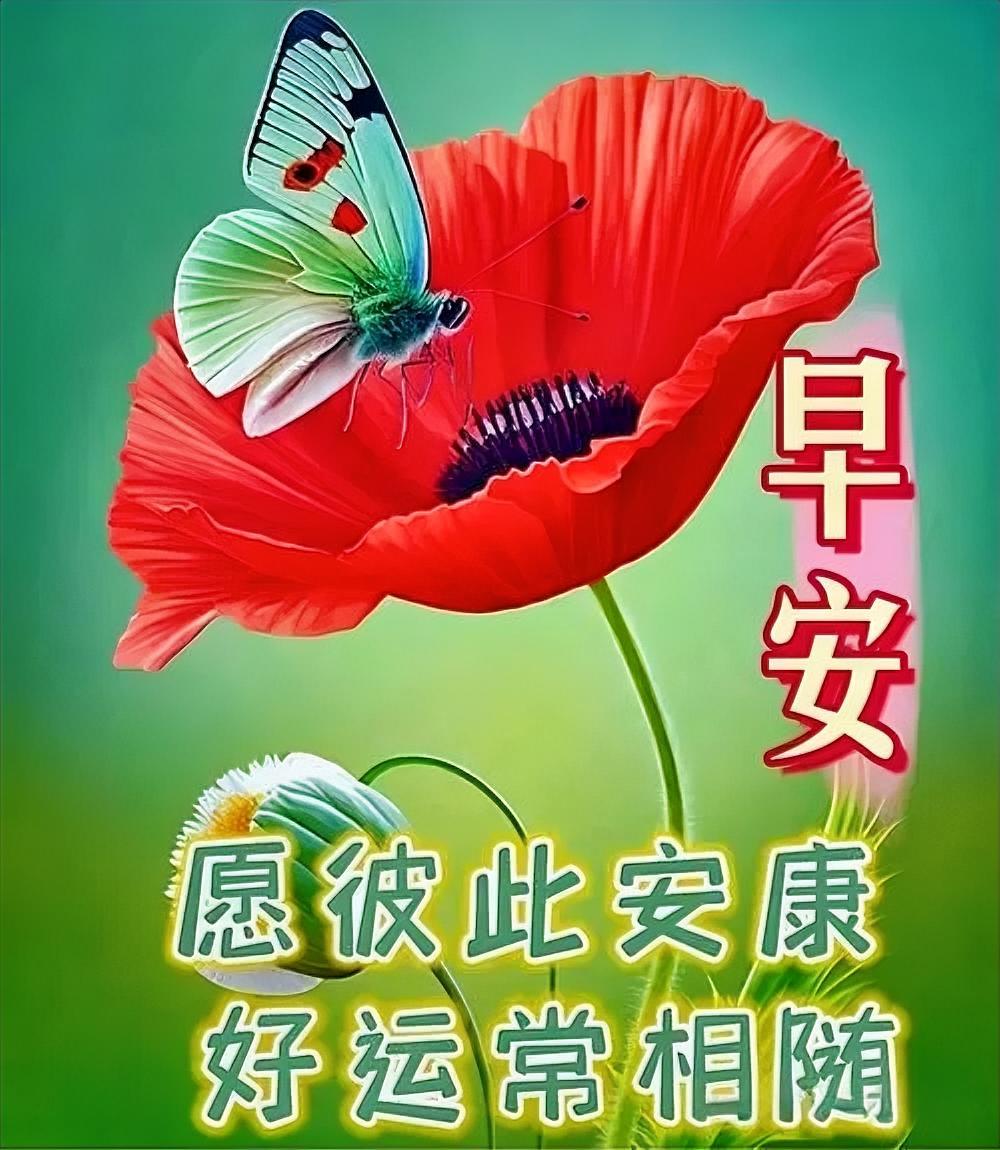 所以我5月底就逃离深圳啦，现在在六盘水享受着凉爽舒适的避暑生活呢，太惬意啦！
深