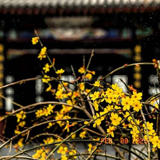 人生的确如歌，是满溢着喜悦还是充斥着悲伤，皆由自己谱写，这话太正确了，非常有道理