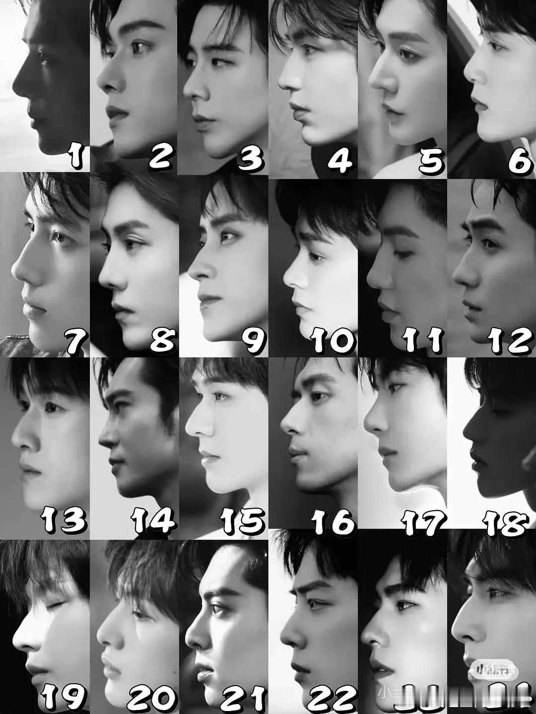 比侧颜，你喜欢哪一位的？ 