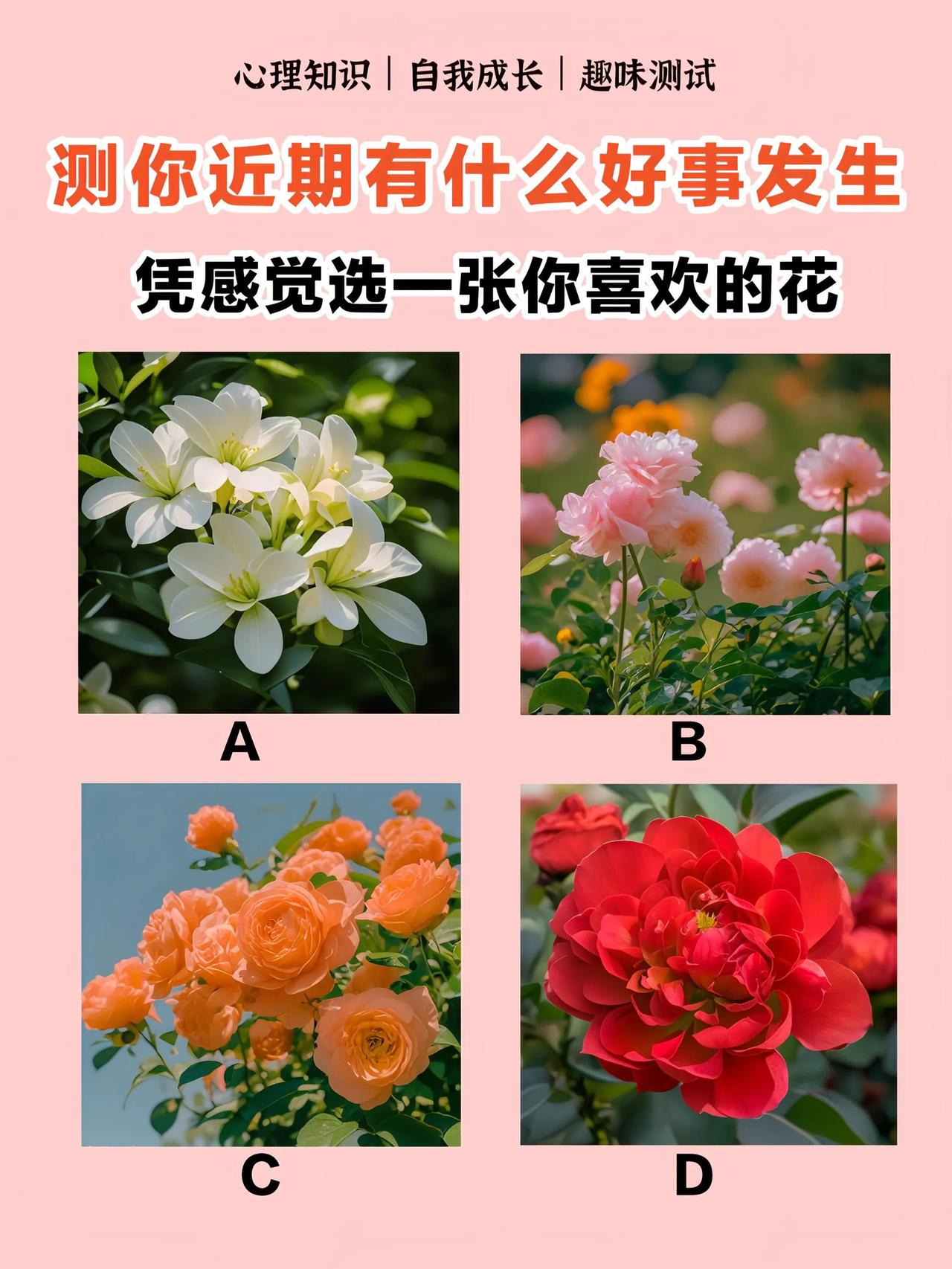 心理学测试：挑选你喜欢的花，预测近期的好运
每个人都有自己的喜好，而不同的喜好可