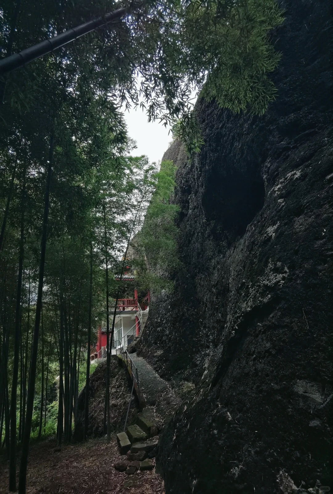 泉水岩下走出宁波版“哀牢山”感|行者游记