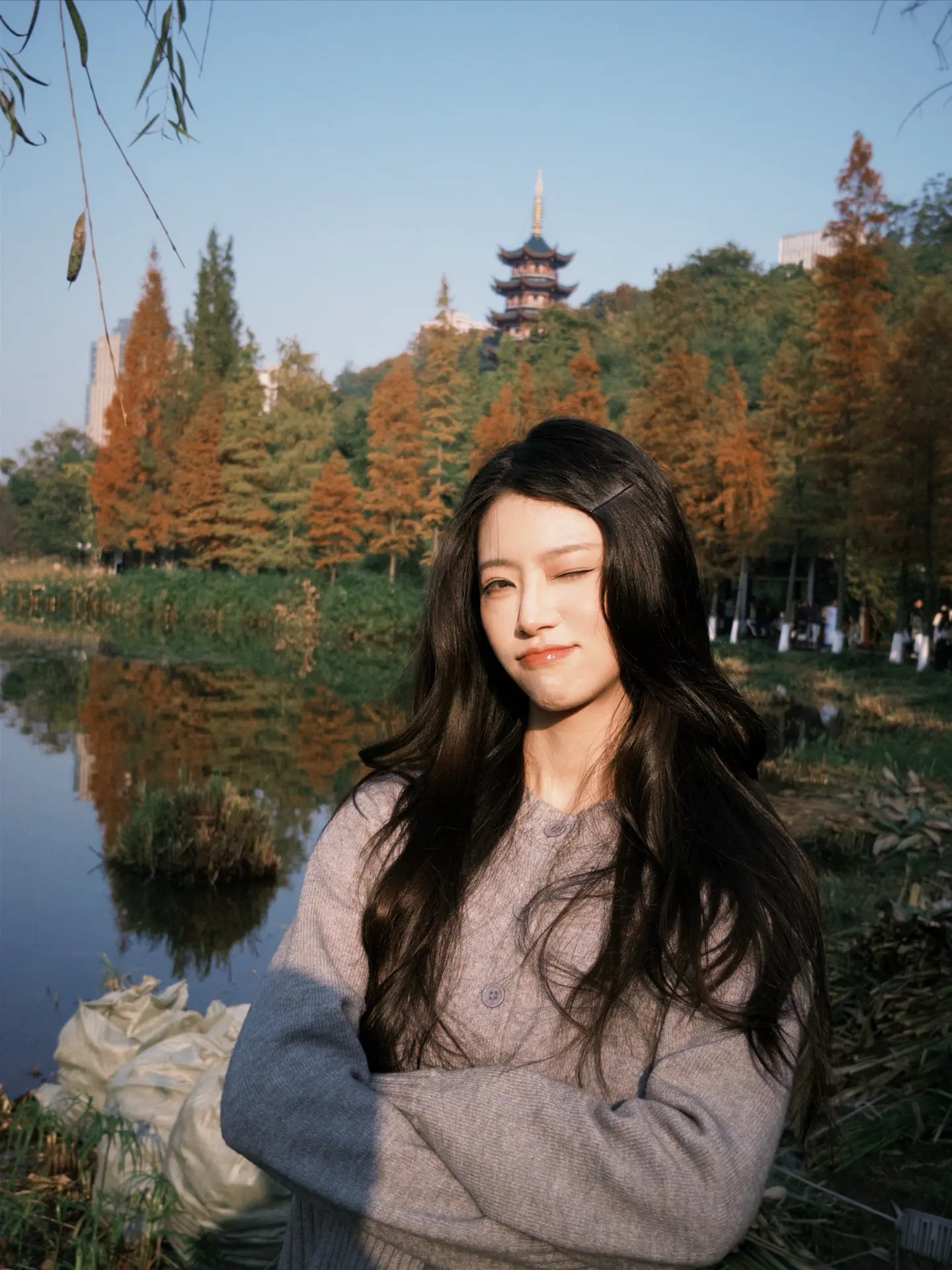 落在生命里的风和光都是好天气