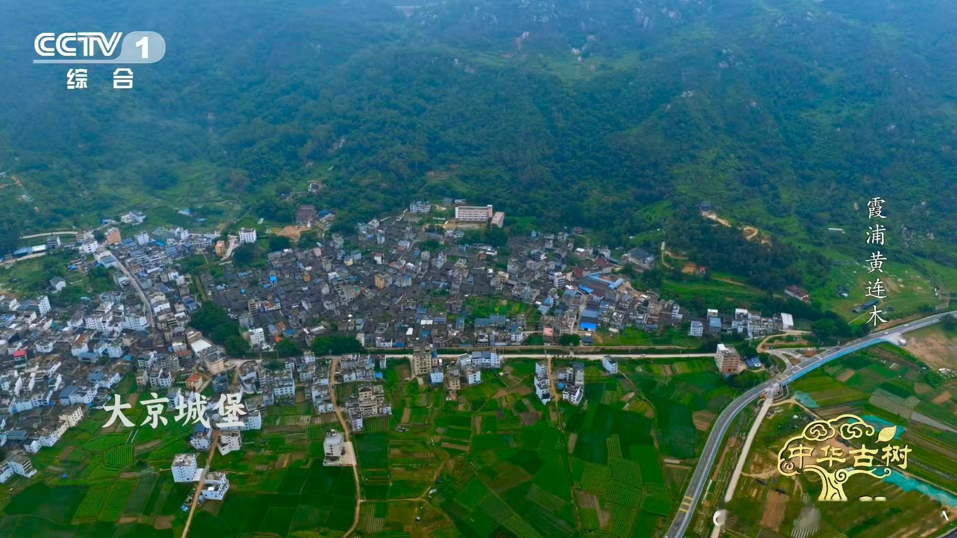 古时霞浦海岸没山峦当屏障，倭寇总来侵扰，村民就用石头筑墙把村子改成石堡，传胪村那