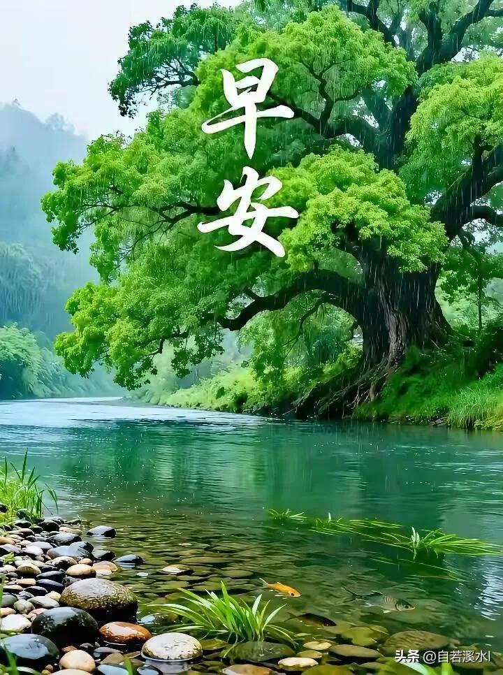 醒来皆是温柔，愿你三餐安稳，万事舒心。