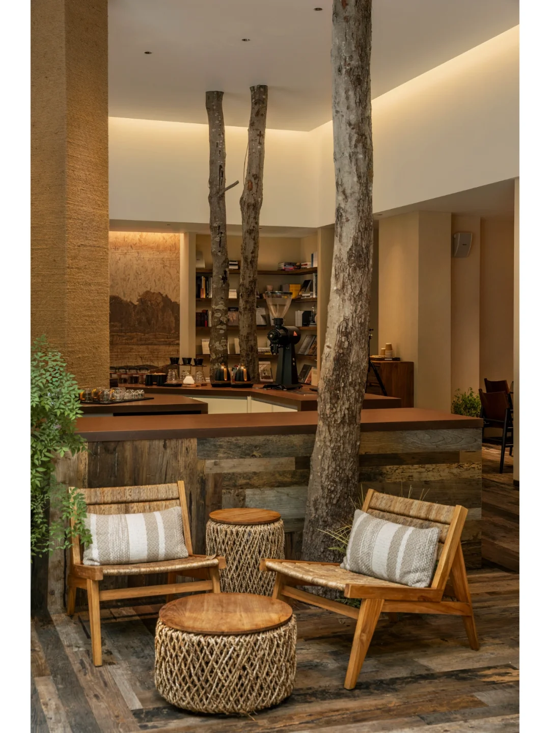 Mr. Walden 🟤 自然友好的社区咖啡店