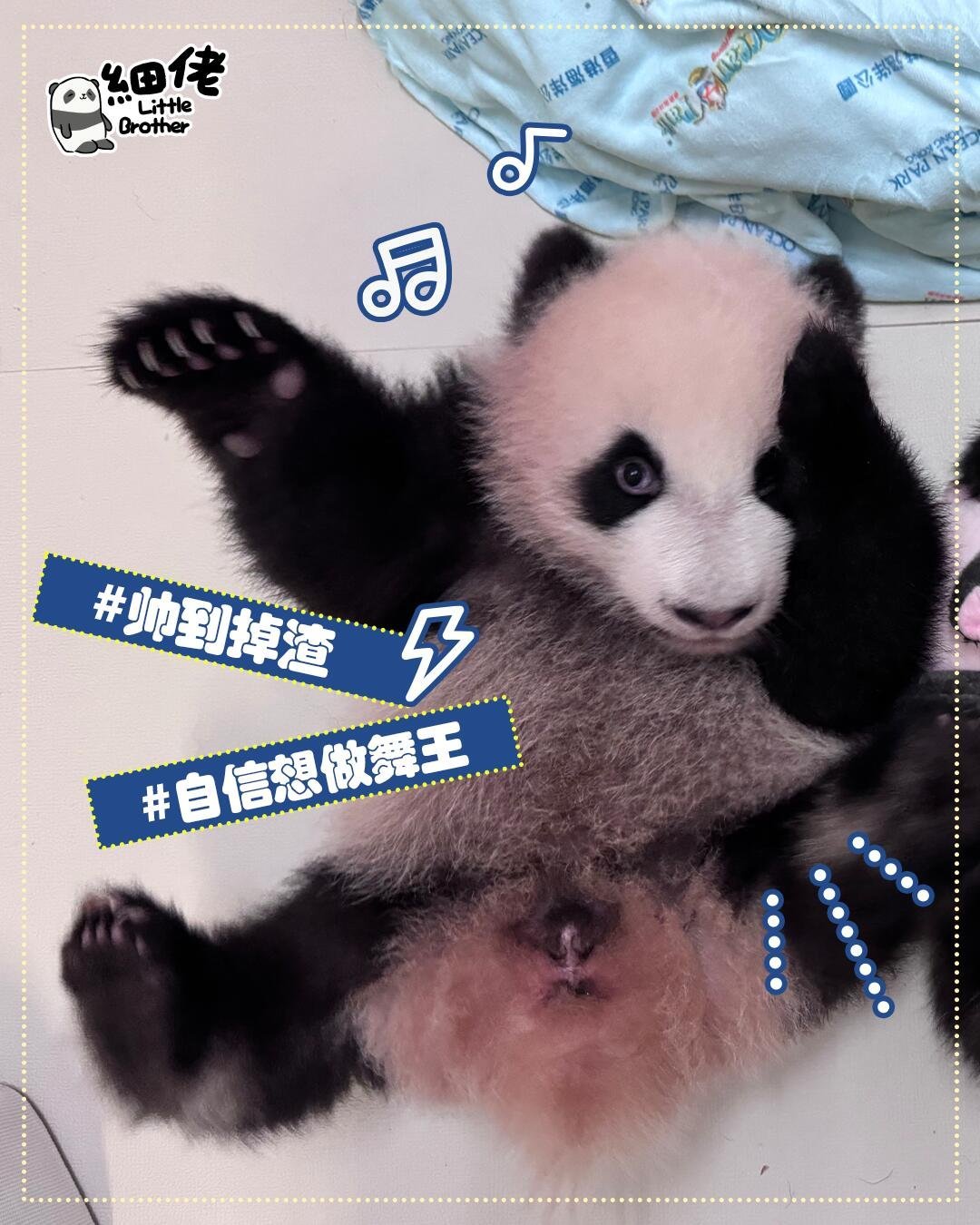 2.24港宝胖哒更新，家姐＆细佬 姿势大赏～🐼🐼 