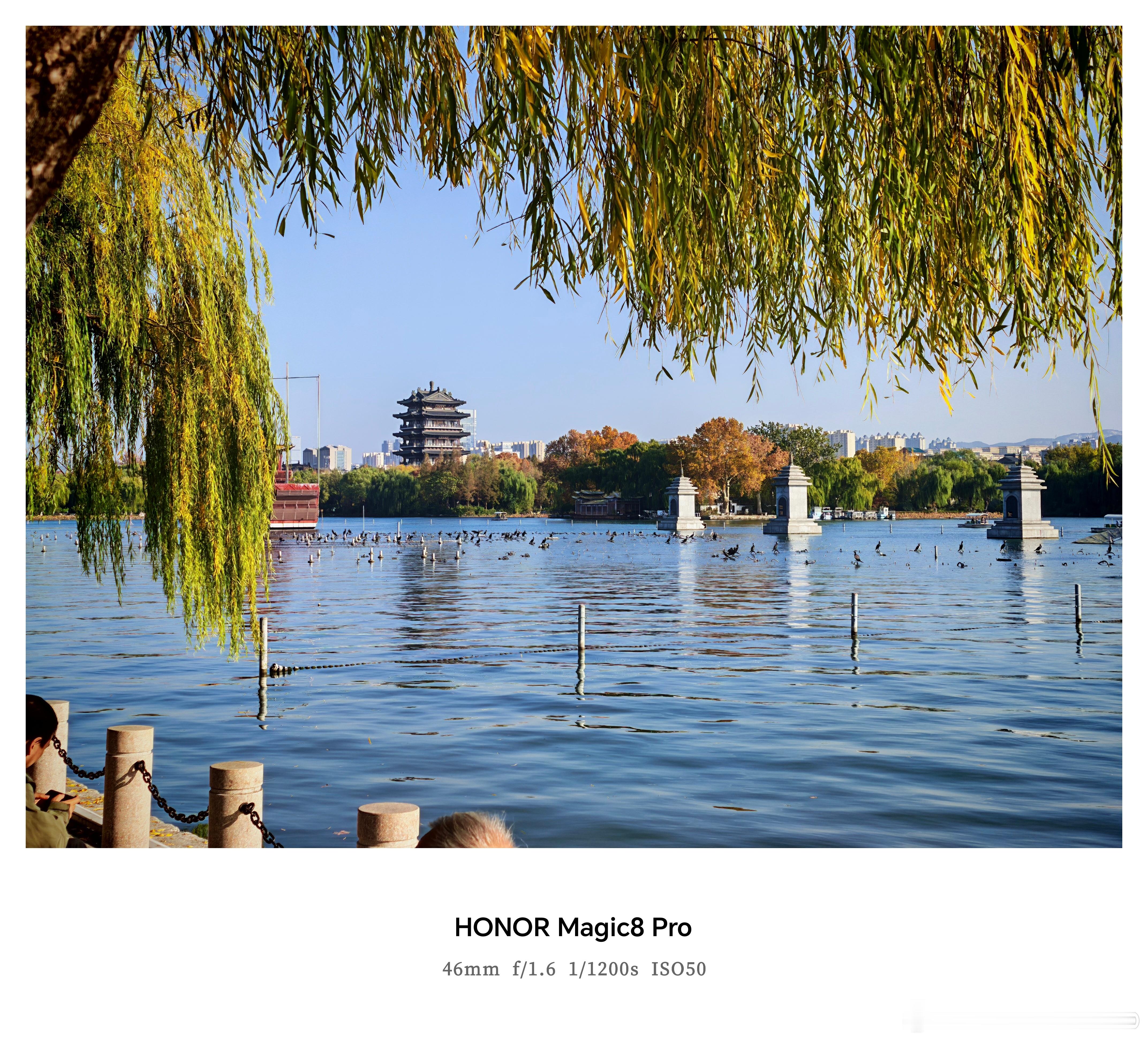 一年之中最舒适的一段时间，秋高气爽，天气晴朗，趁着寒潮来袭前记录一下这美好的景色