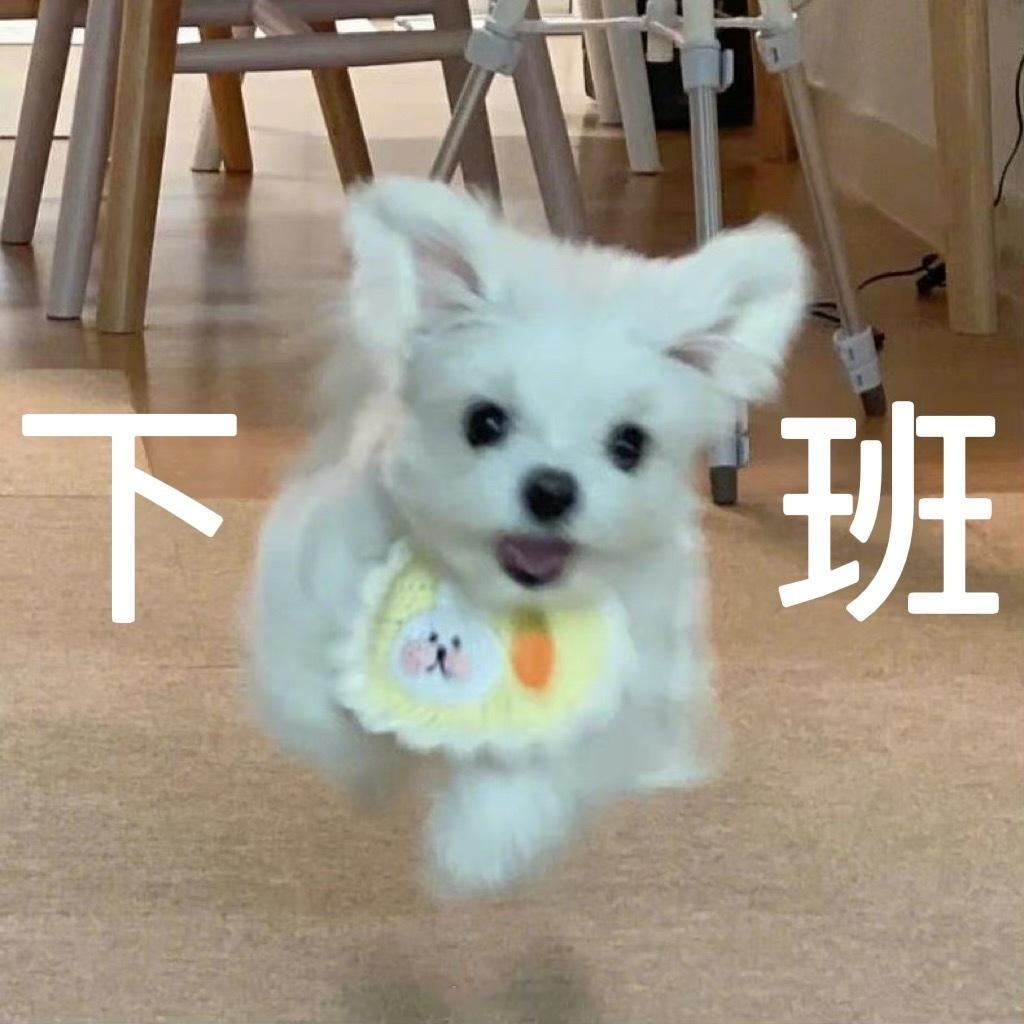 老板不在，已过上朝九晚五的幸福生活