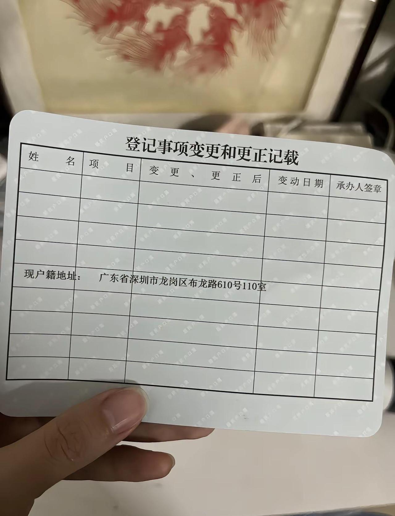 深圳真的是一座很友好的城市