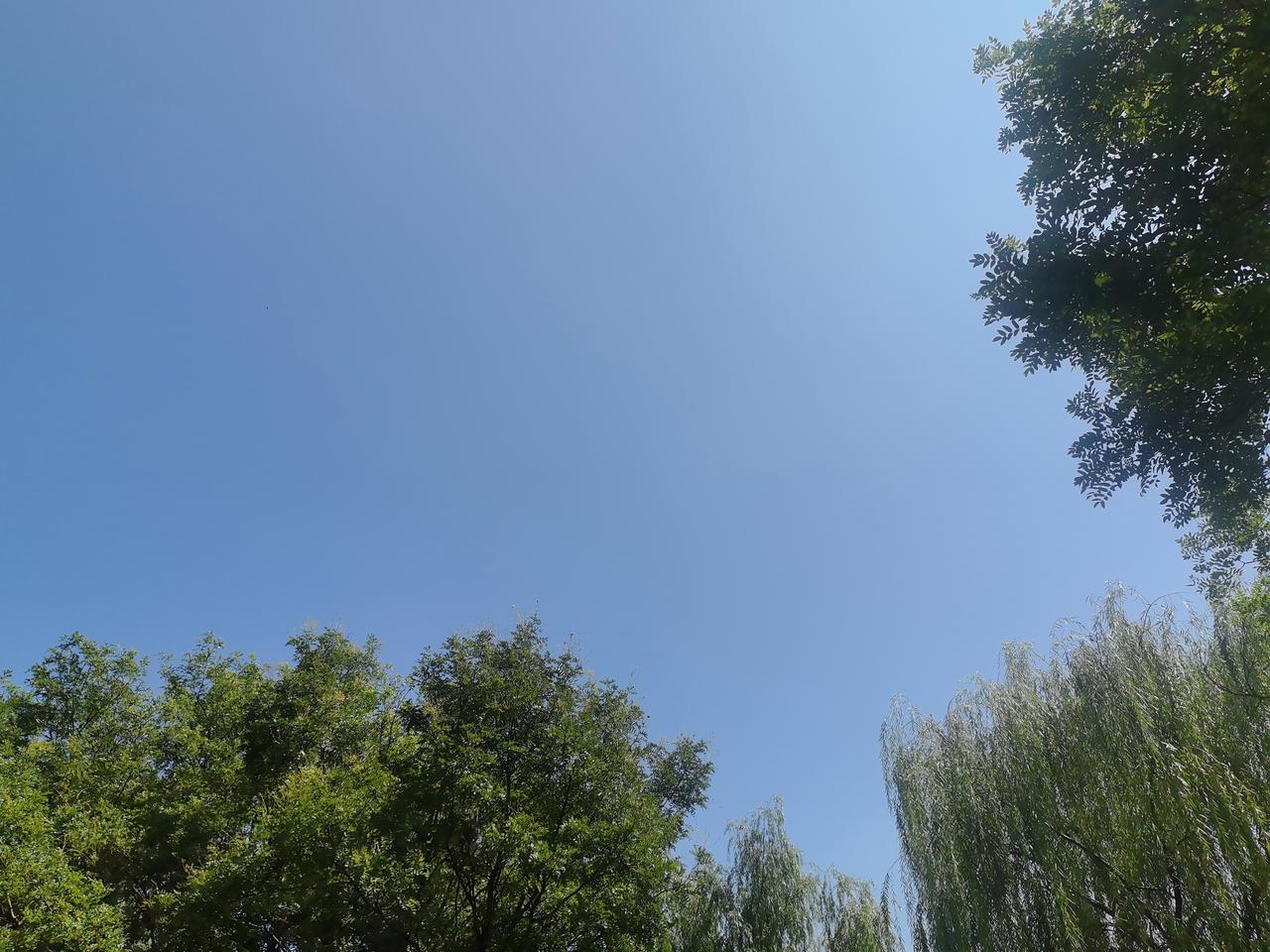 天高云淡蓝天美
秋阳怡情心中慰
悠闲时光思过往
常乐知足永向上