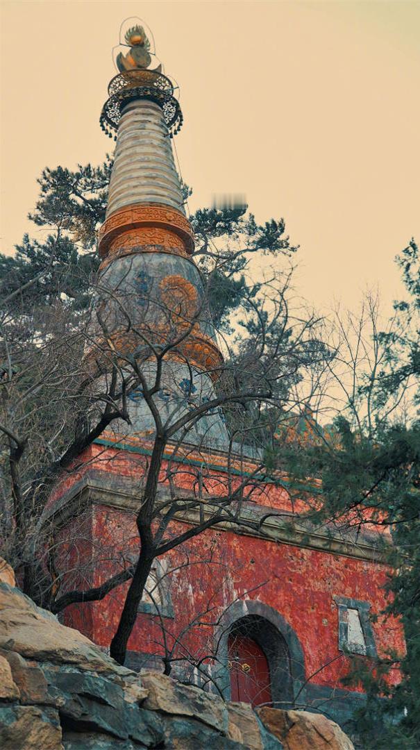 无事心不空，有事心不乱，大事心不畏，小事心不慢。人生的悲欢离合，酸甜苦辣，皆系于