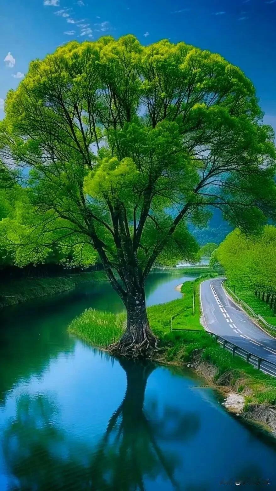 #秋日生活打卡季##秋日湖畔美景！# #秋冬美景手摄# #分享秋天的景色# #分