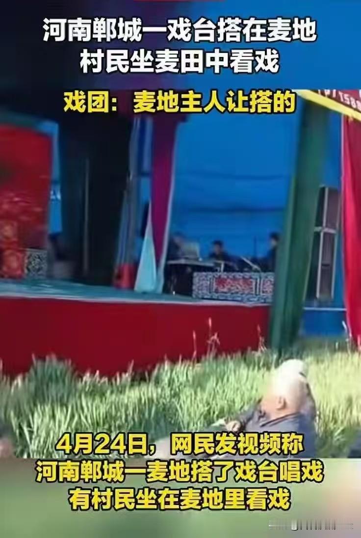 麦田戏台：规则与温情，从来不是单选题
 
2026年春天，河南郸城麦田里的戏台，