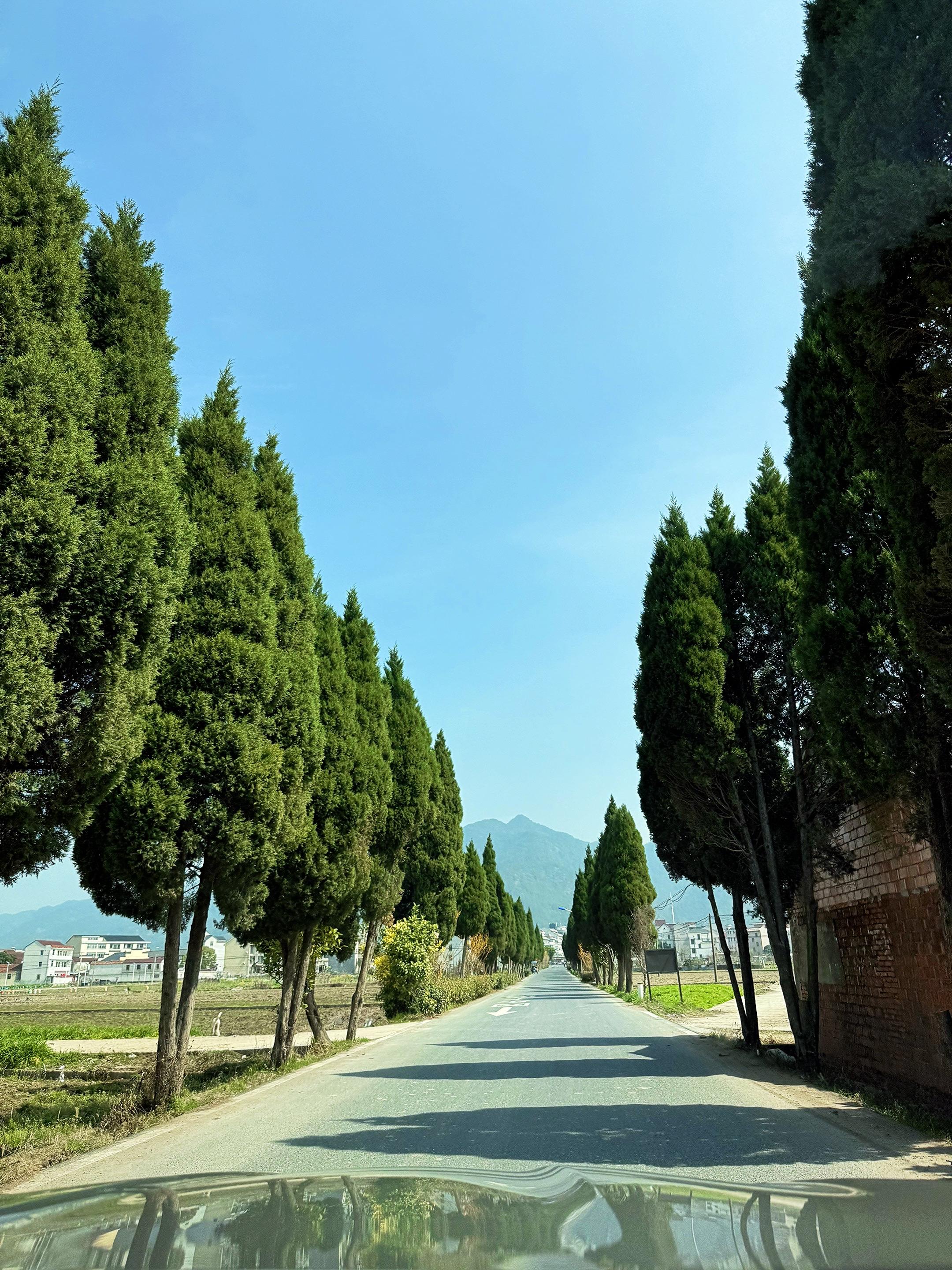 不能熬夜 我该睡觉了