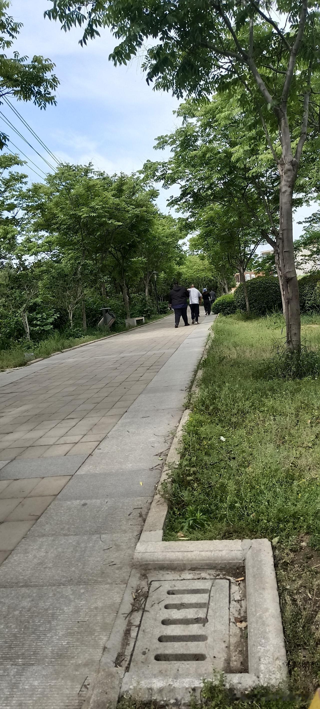 每天早晨都能看见这一对父子，一个身材矮小，不胖不瘦的中年男人拉着他的大胖儿子在公