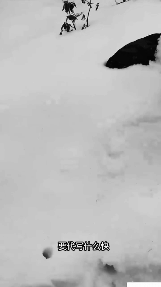 姚琛西藏徒步包成粽子就开播了 谁还没看姚琛西藏徒步直播！高海拔爬雪山第一视角也太