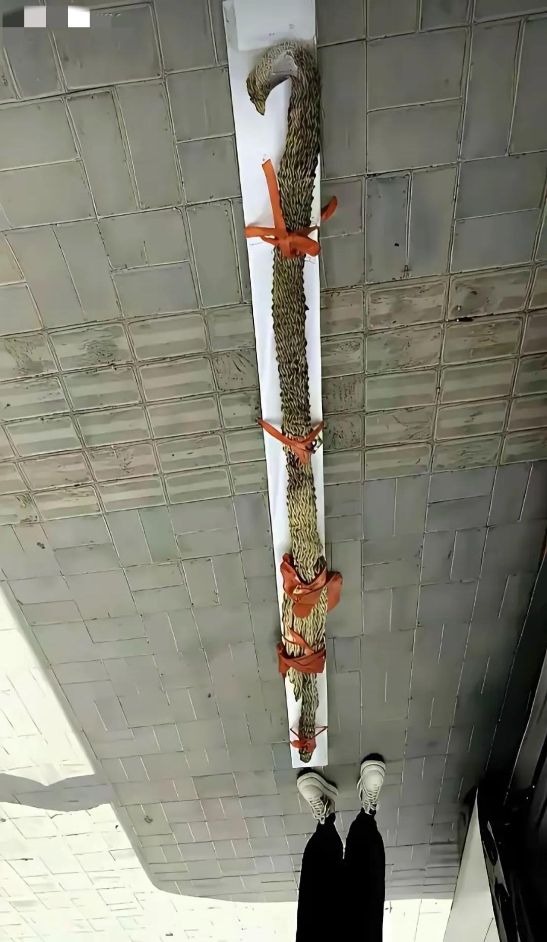 问了100个人了，没一个告诉我是什么，见多识广的大神们帮看看，求解？[what]