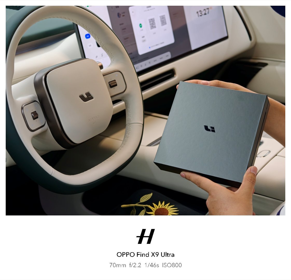 一不小心就把理想L9 Livis提回家了说实话理想确实懂家庭用车需求人性化这块，