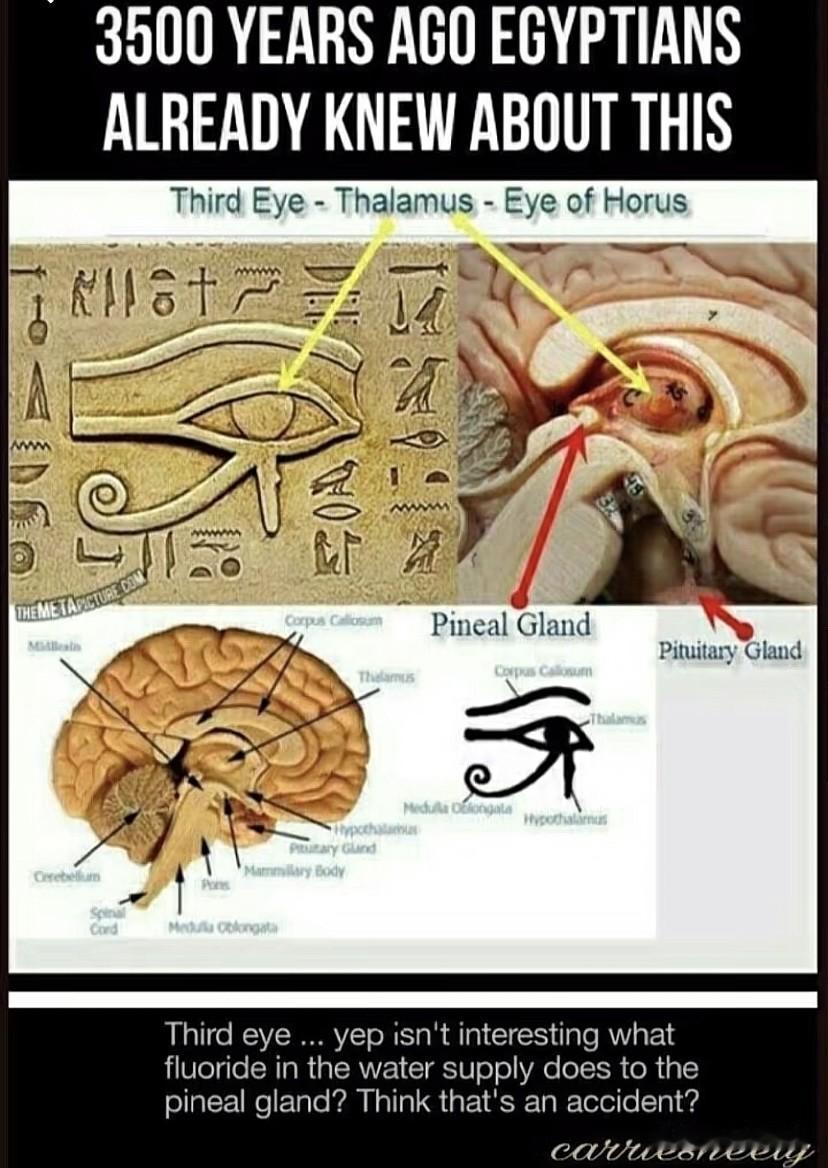 经常有朋友问我：我今天做了一个什么梦，寓意着什么？那我们从西方科学角度来看。
你