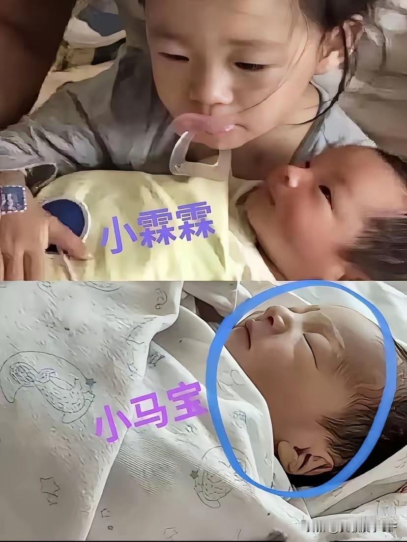 汪家三胎宝宝小名官宣啦!
奶奶张兰直播取名：小七宝、小马宝，因为正月初七又逢马年