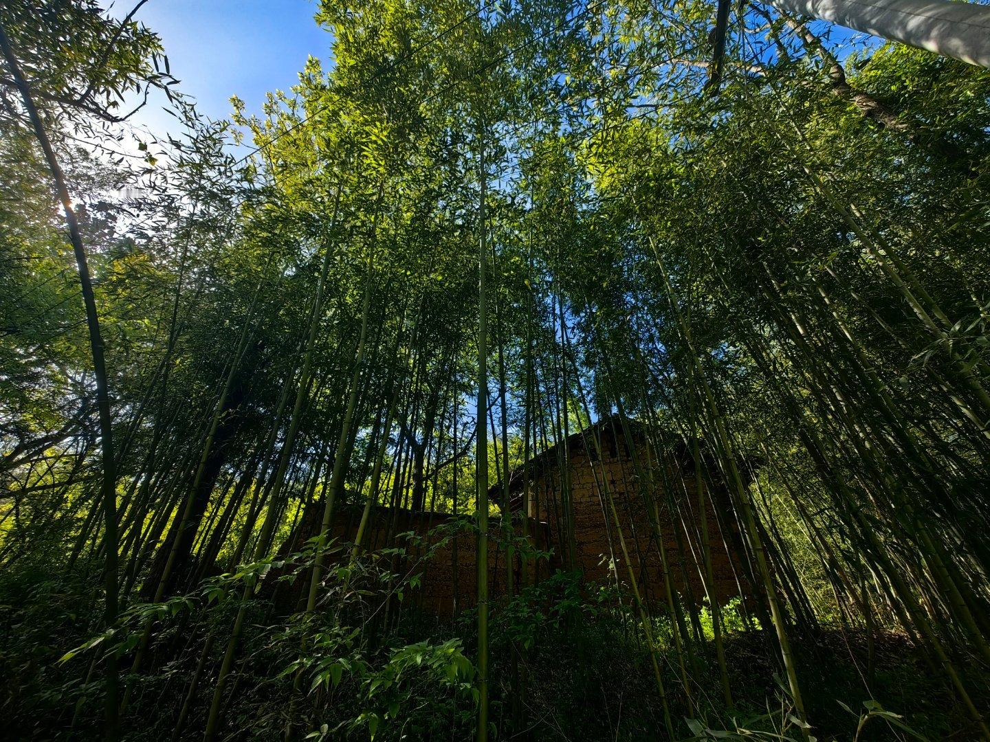 秦岭笑谈北京春日暴走代谢数据实测通勤赶路、外出办事，靠这几样实用好物撑住全程——