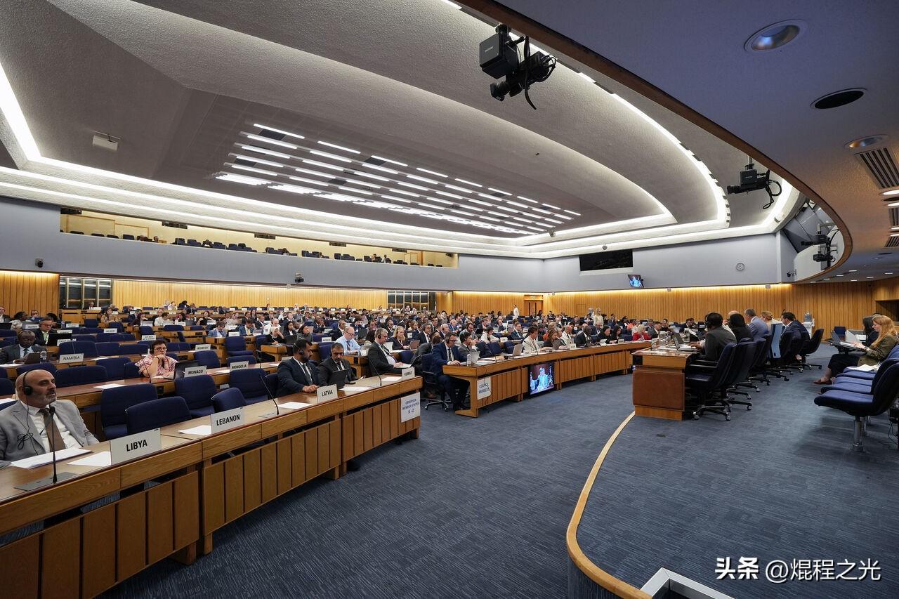 阿联酋拉九国围攻伊朗，想拿国际海事组织当枪使！

阿联酋这回脸都不要了，拉着沙特