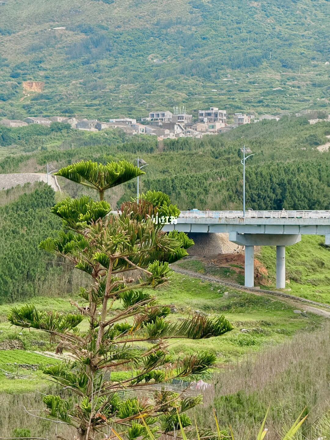 听说这里长满绿植会很治愈🌳
