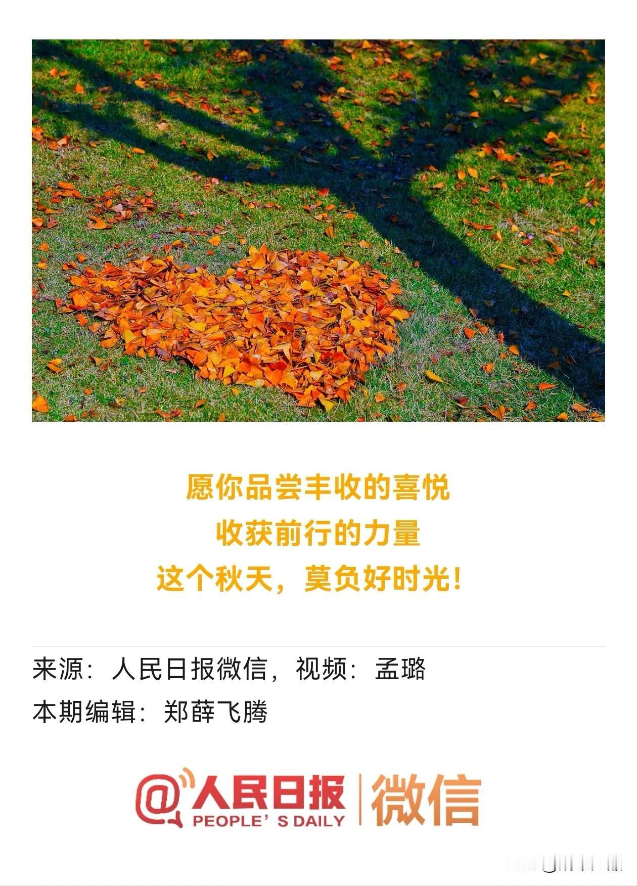 图一的树叶和树影，像不像图二和图三的组合。