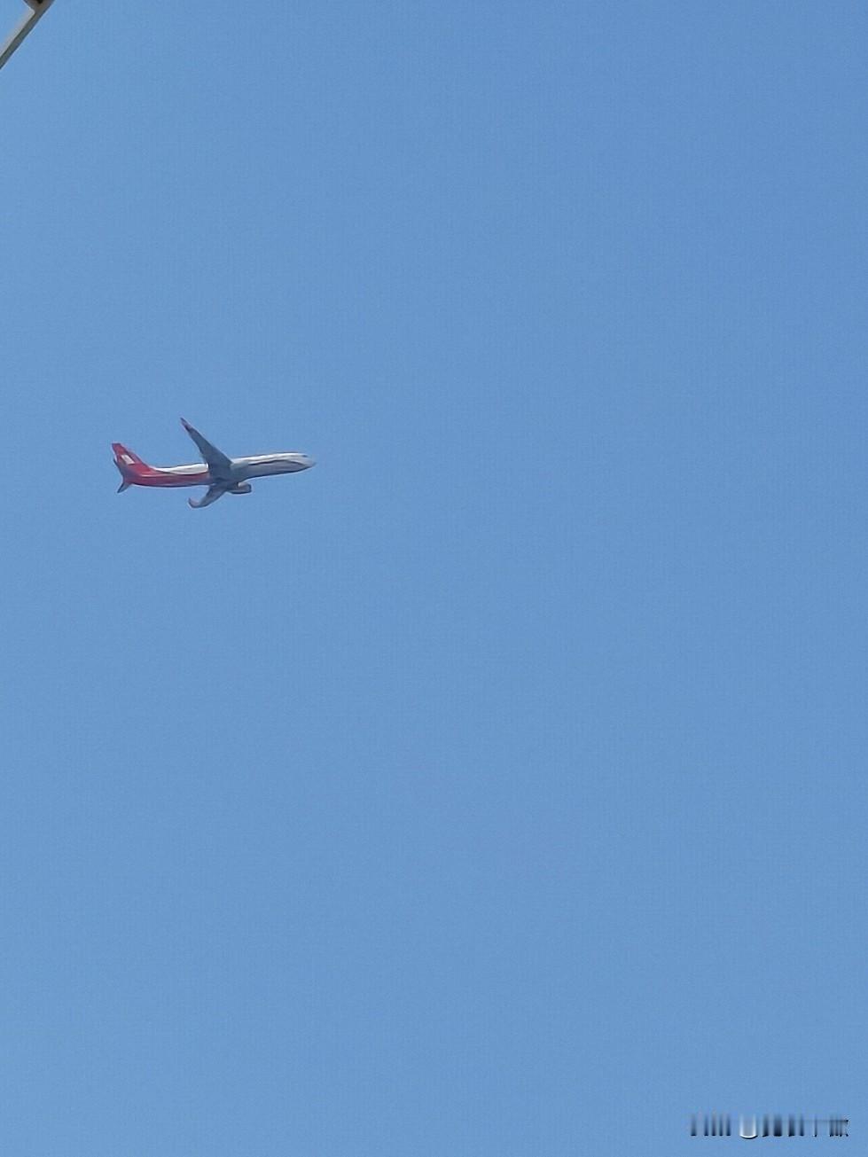 发一张你相册最绿的图片蓝天上的飞机