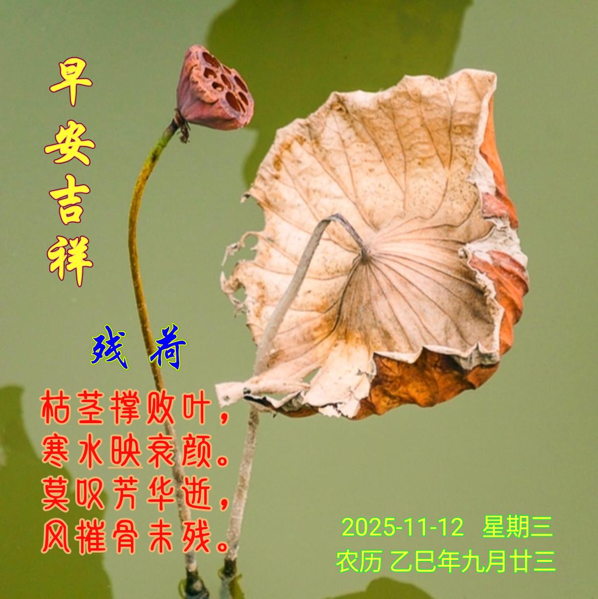 残荷
枯茎撑败叶，
寒水映衰颜。
莫叹芳华逝，
风摧骨未残。