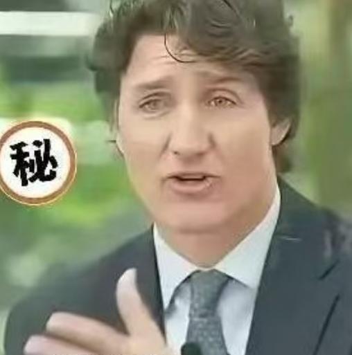 加拿大前总理特鲁多，4月23日在新加坡CNBC访谈中毫不讳言地称：当年特朗普政府