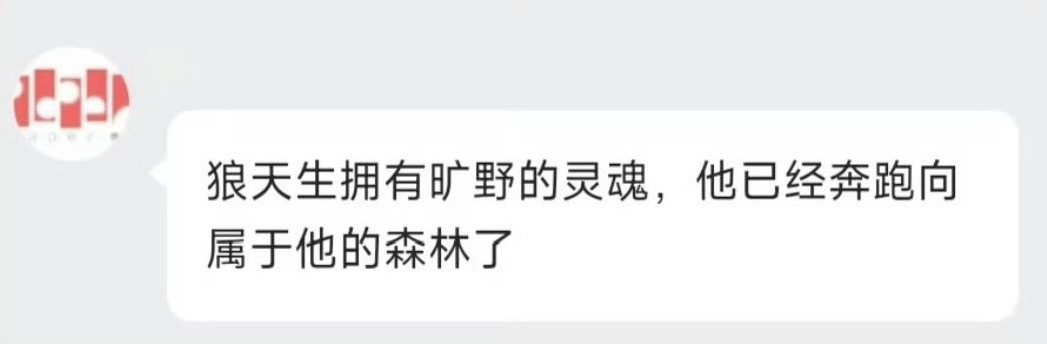 狼天生拥有狂野的灵魂🤪他已经奔向属于他的森林了😙😜 