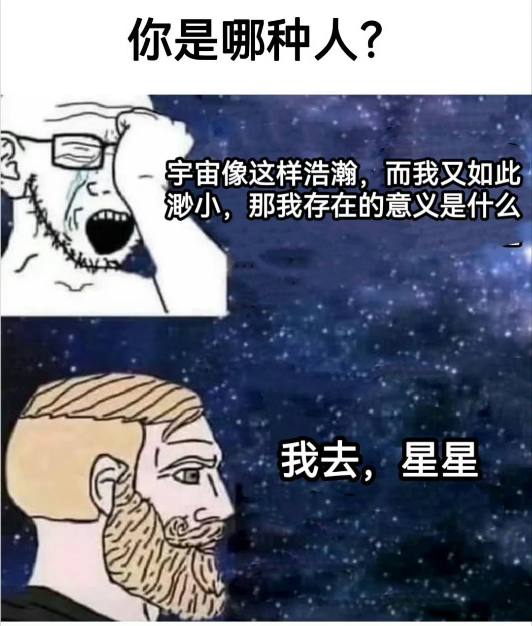 你是哪个 