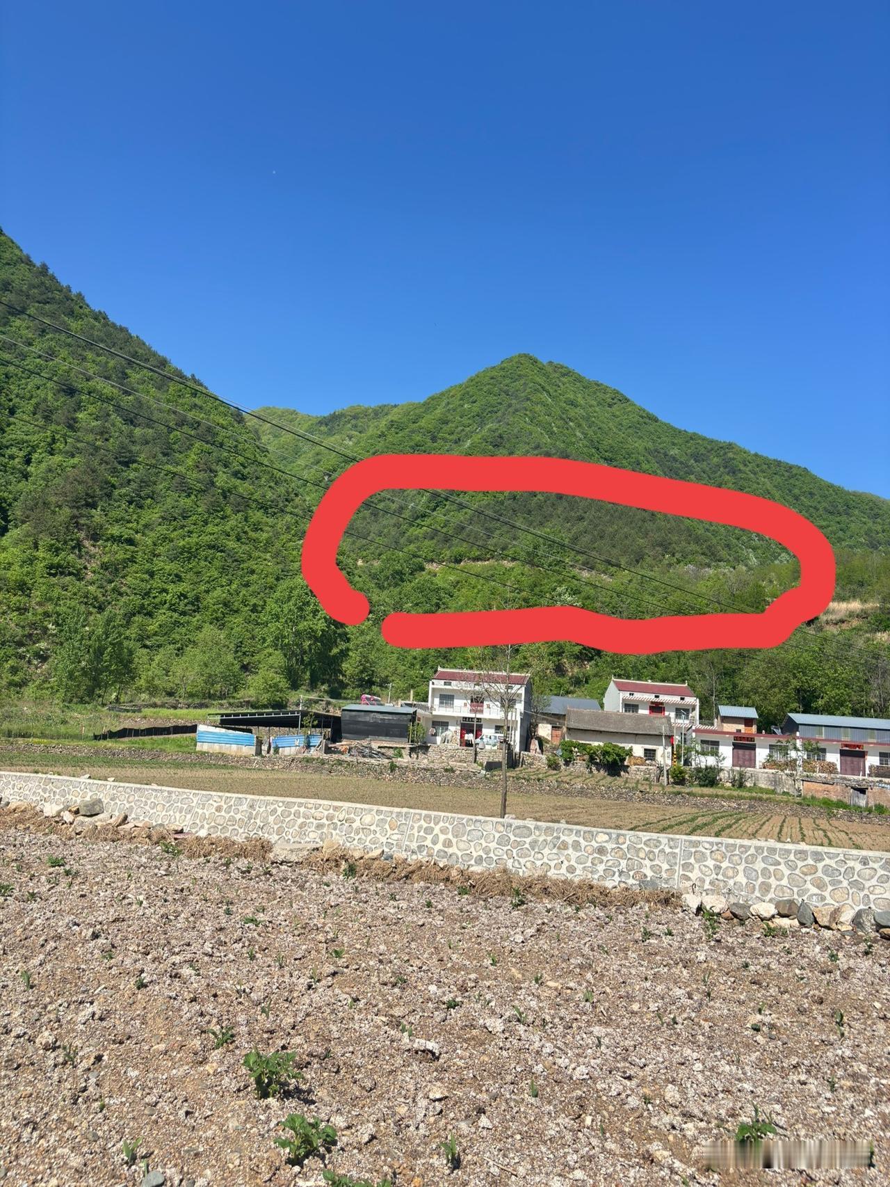 蓝田北沟村这半山上，看着有条路，从远处看的，不知道是不是真的有路