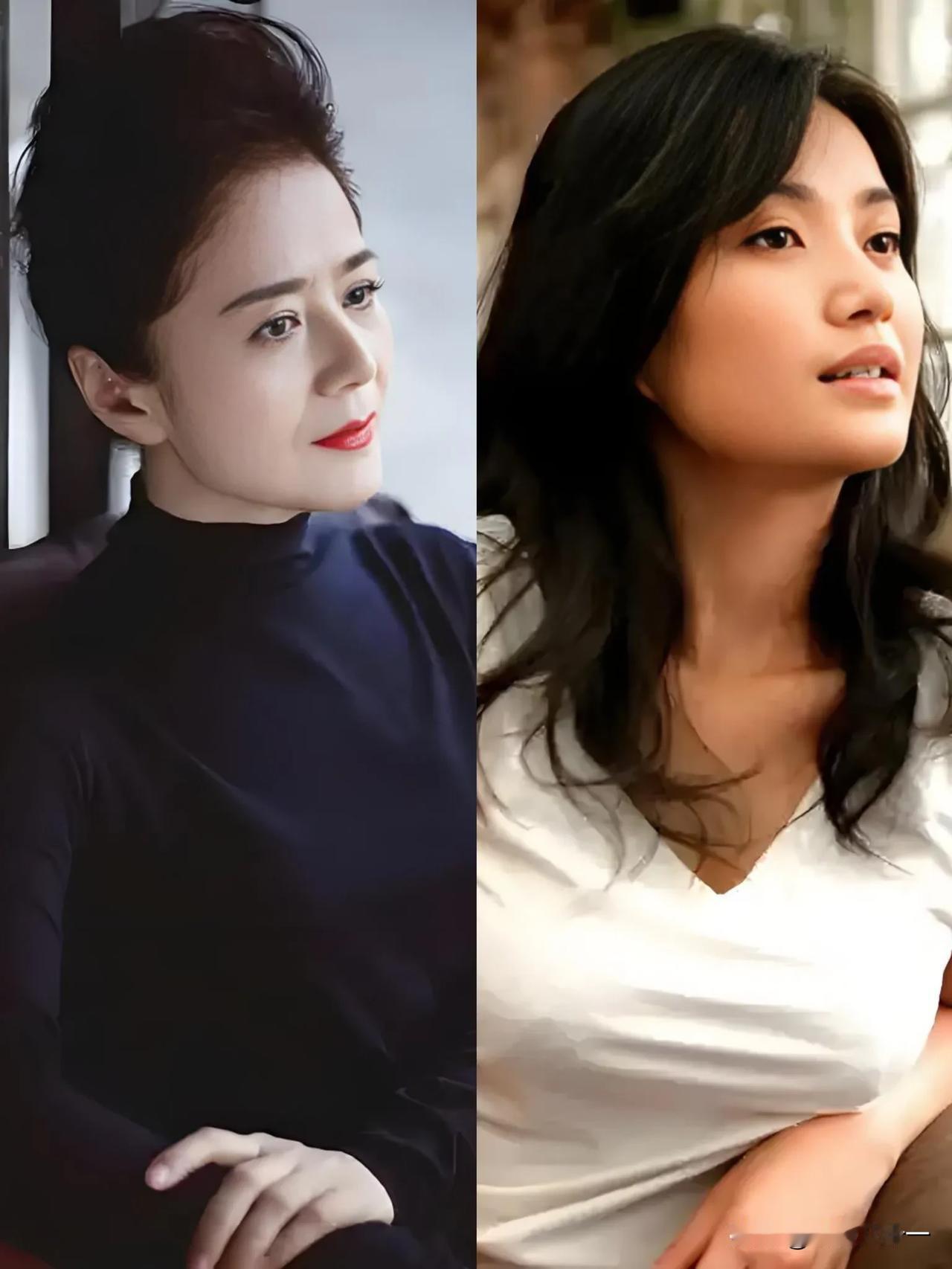 电视剧《利剑玫瑰》两大女配，

一个是饰演章阿姨的张建新，

一个是饰演郑母的王