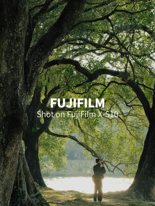 FujiFilm｜待到春暖花开日