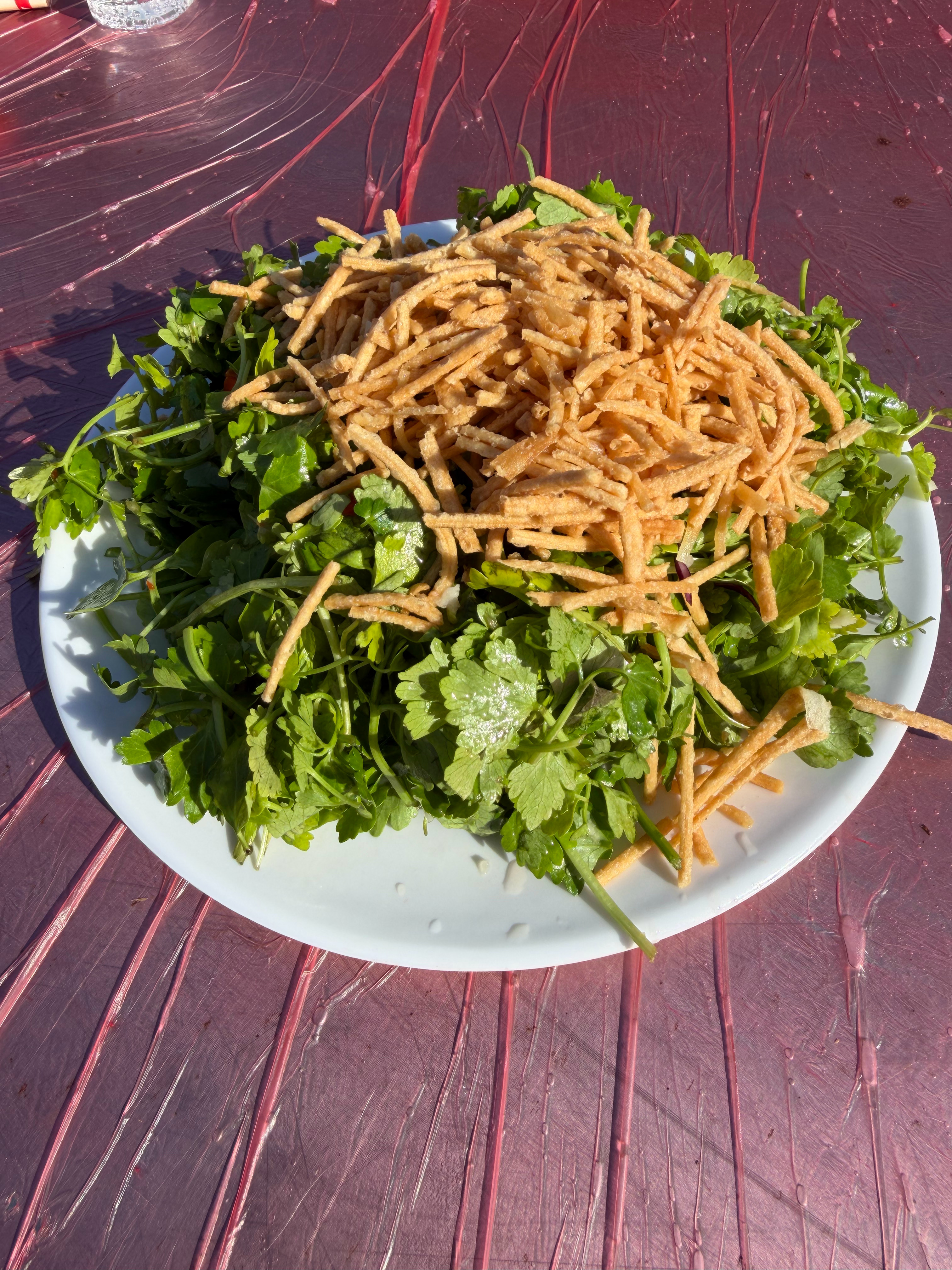 第一盘菜，我就没有看懂，等下给大家更新，河南农村结婚280元1桌的宴席，18菜2