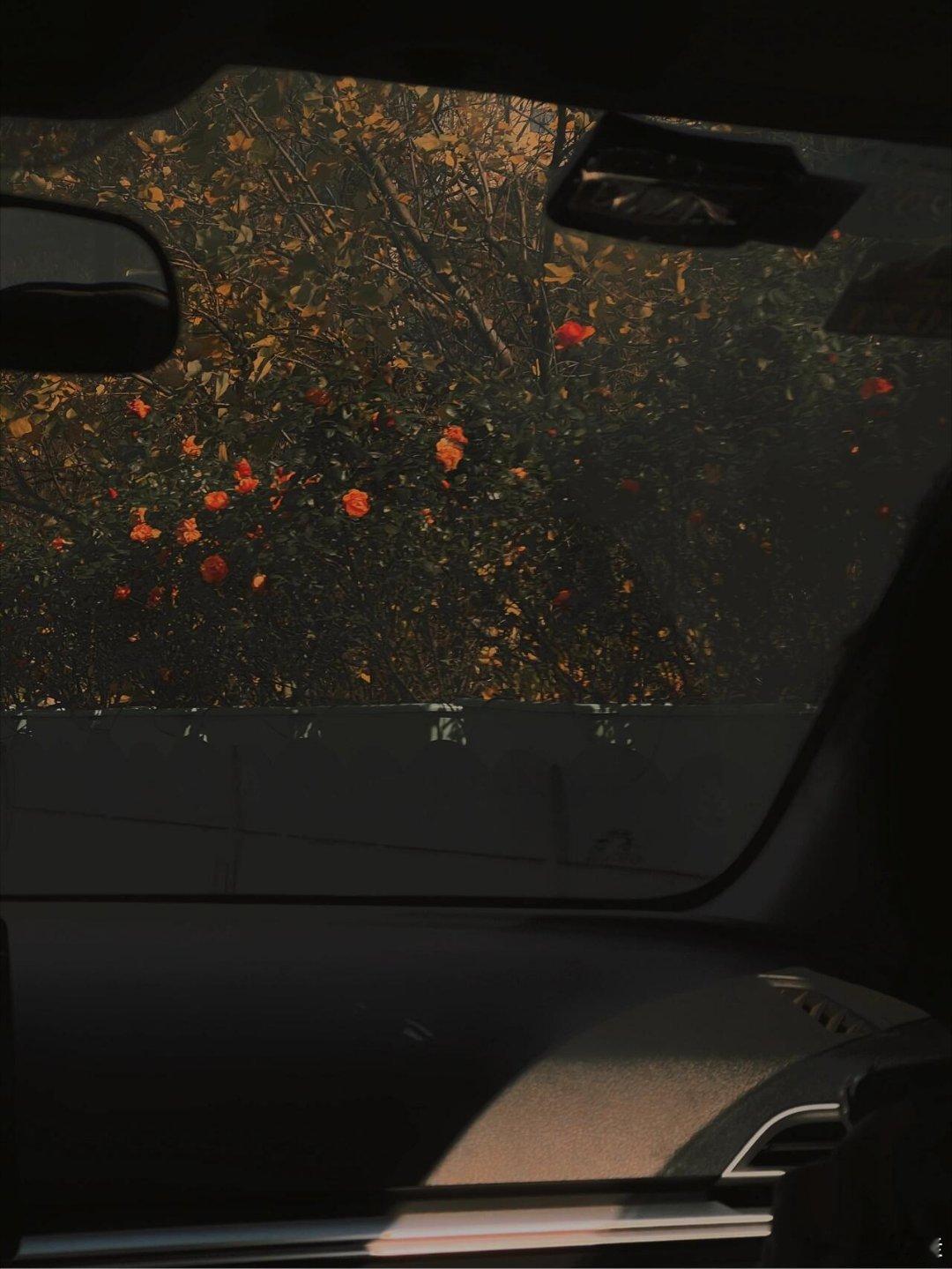 很多时候我们连做个普通人都要竭尽全力人生感悟人生的100种可能