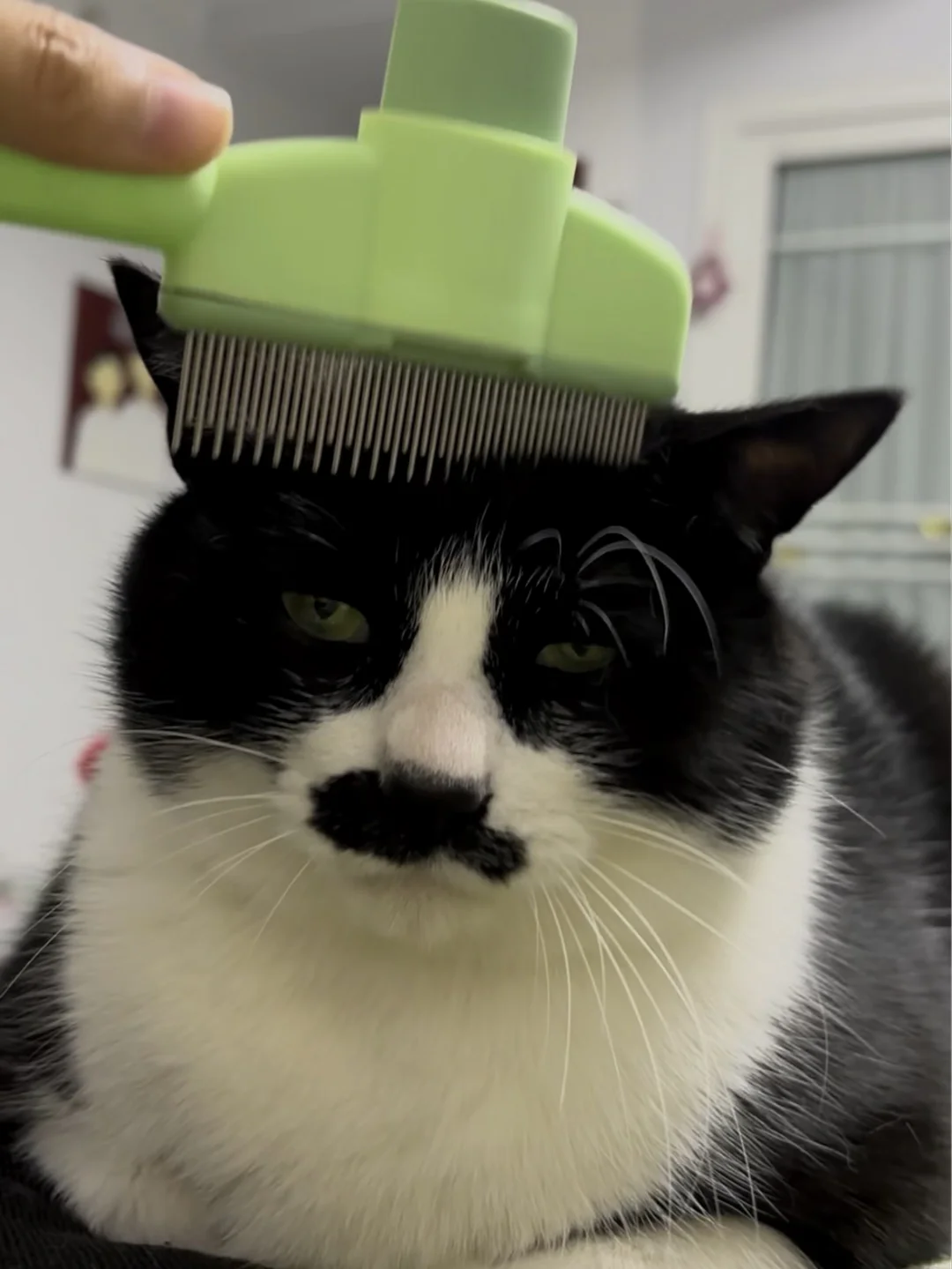 将头发梳成大人摸样