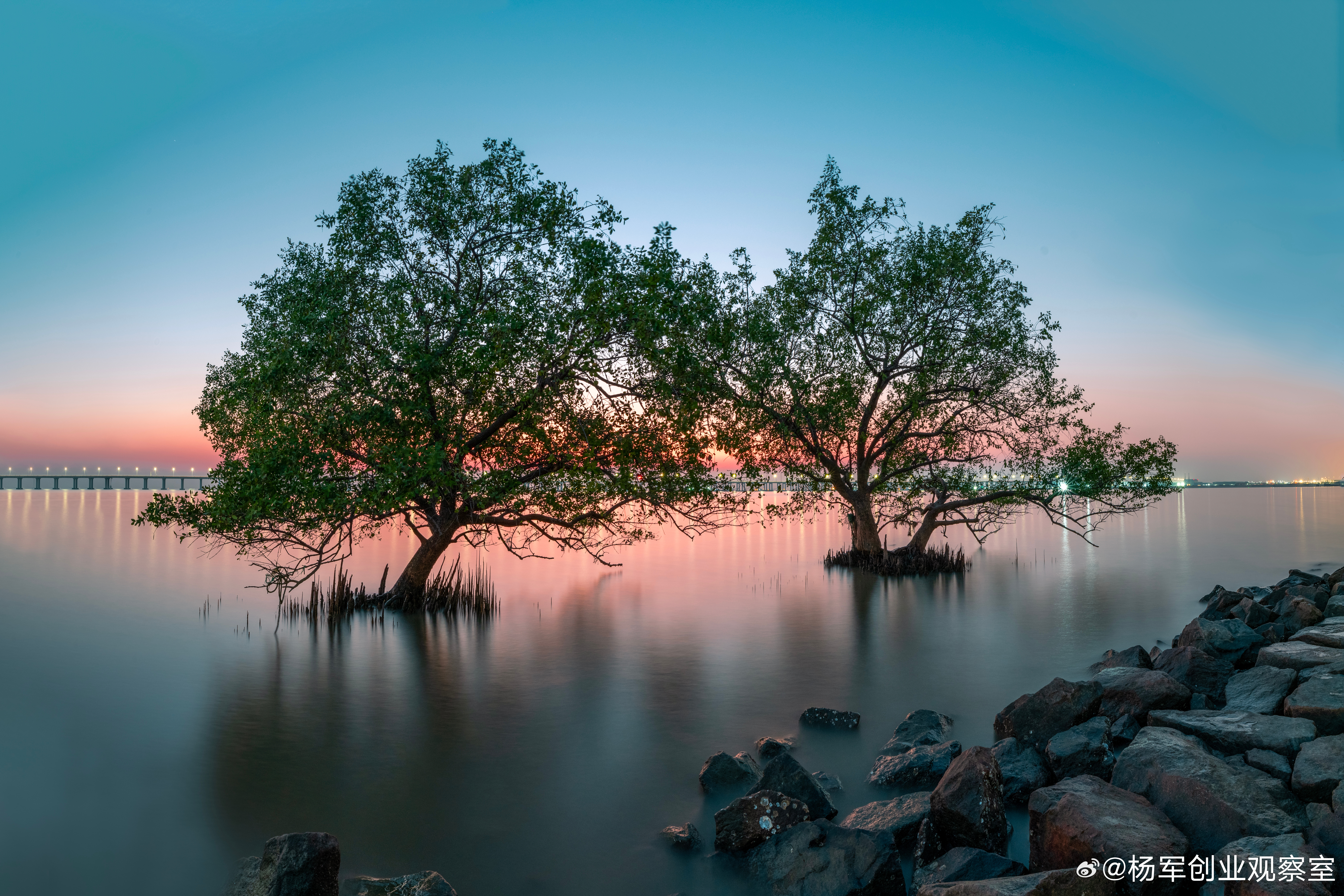 有一个公众号注册在个人名下，价值几百万但融资时这个人说是他独有的，其它合伙人不干