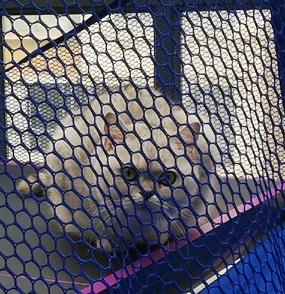 霍尔木兹海峡要实行“股份制”管理了。
特朗普的新思维：由美国与伊朗领导层或多方共