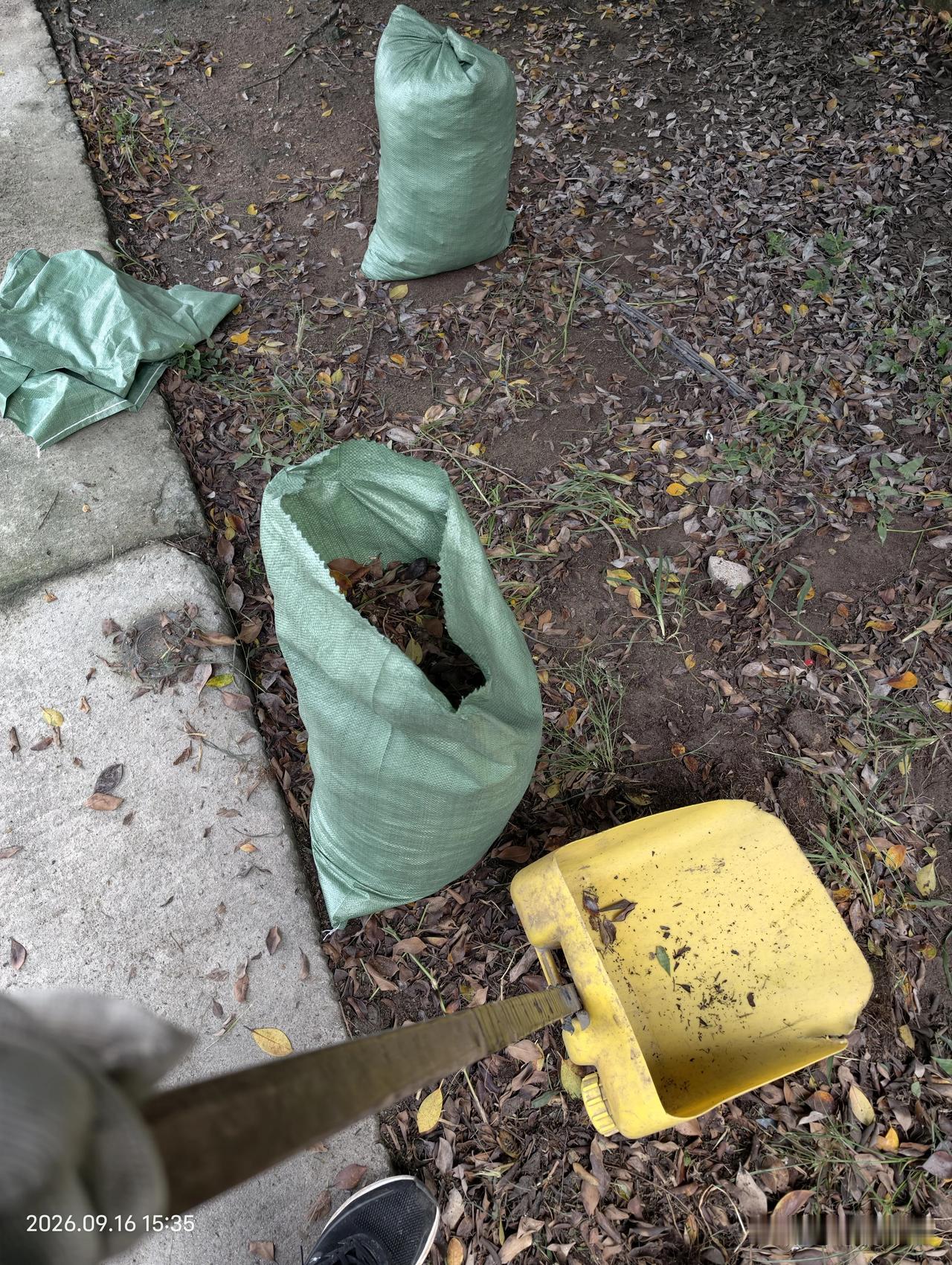 这几天做的社会工作搞卫生，感觉还蛮轻松的，就是社区居委给的矿泉水太多了汗流的都没