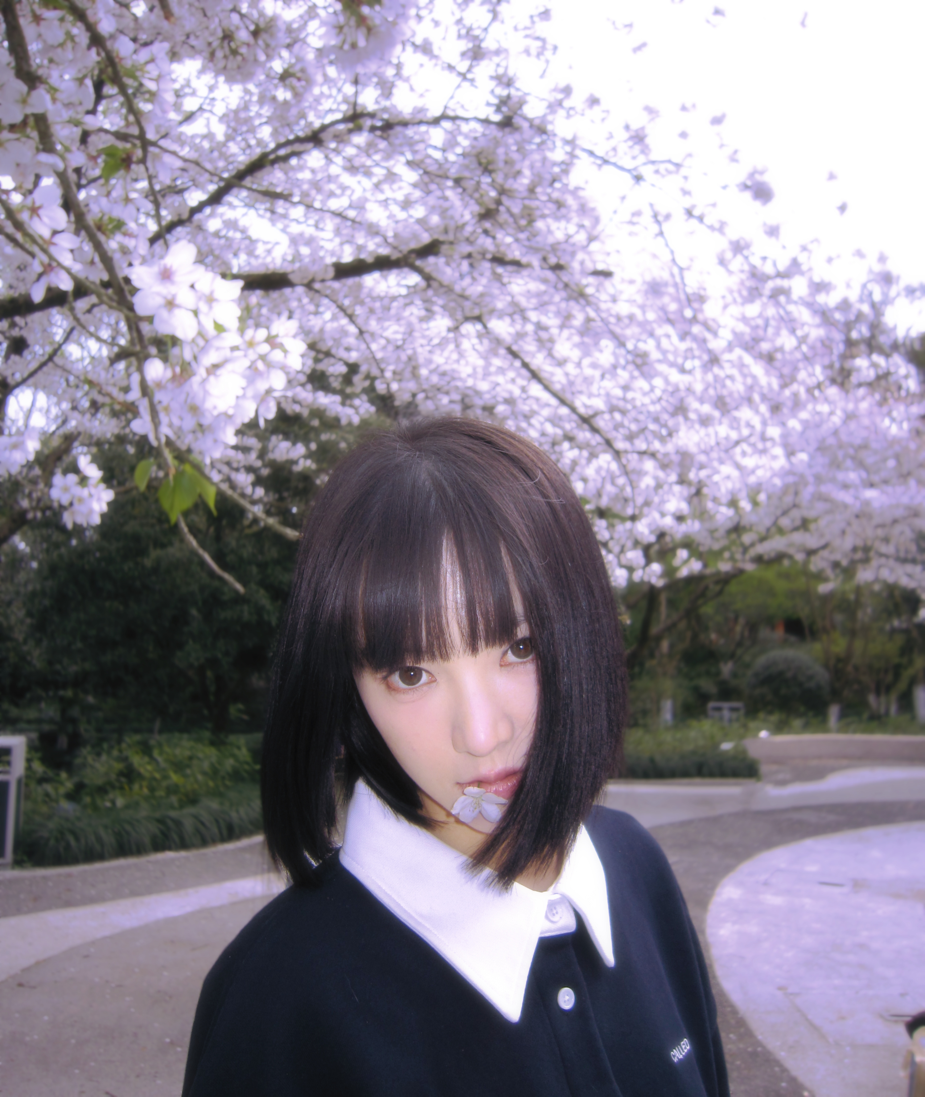 #黄灿灿[超话]# 交换一朵春天的花 ​​​
